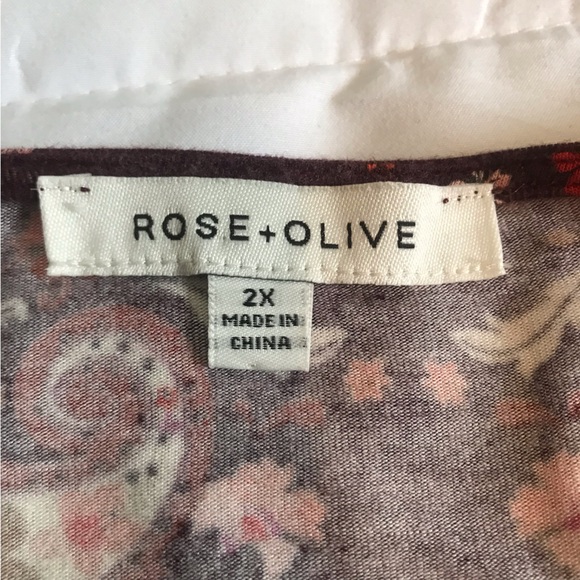 Rose + Olive 2X v-neck blouse - Picture 7 of 7